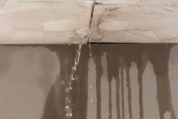Professional Burst Pipe Cleanup technician working in San Pedro, CA